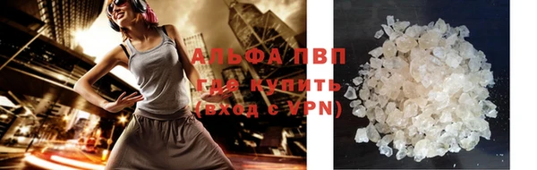 стаф Дмитриев