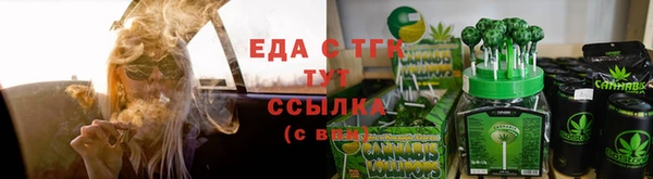 прущие грибы Рославль