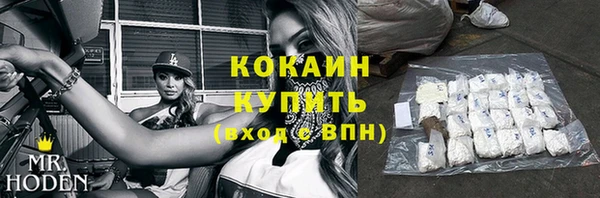 стаф Дмитриев