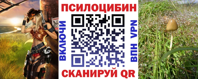 Галлюциногенные грибы GOLDEN TEACHER  Рудня 